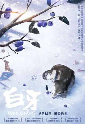 日本视频免费在线